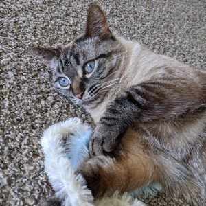 Meet your Posher, Nancy